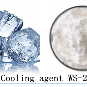 Cooling Agents Ws 23 99 9