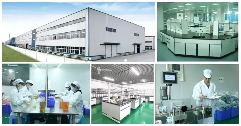 ZHII Biotechnology Company