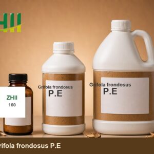 Grifola frondosus P.E - ZHII Plant Extract Manufacturer