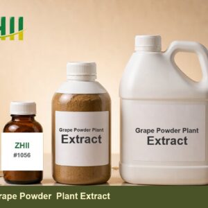 Grape Powder Plant Extract - ZHII Plant Extract Manufacturer