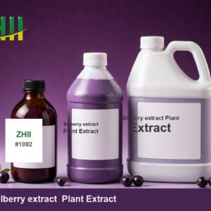 Bilberry extract Plant Extract - ZHII Plant Extract Manufacturer