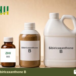 Sibiricaxanthone B - ZHII Plant Extract Manufacturer (CAS 241125-81-5)