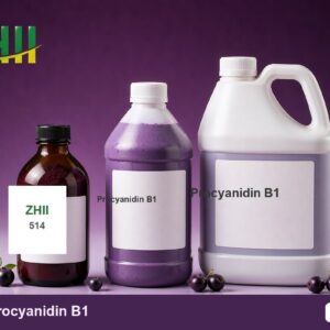 Procyanidin B1 - ZHII Plant Extract Manufacturer (CAS 20315-25-7)