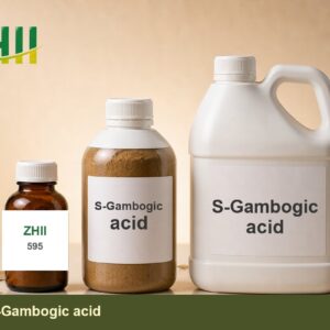 S-Gambogic acid - ZHII Plant Extract Manufacturer