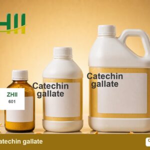 Catechin gallate - ZHII Plant Extract Manufacturer (CAS 130405-40-2)