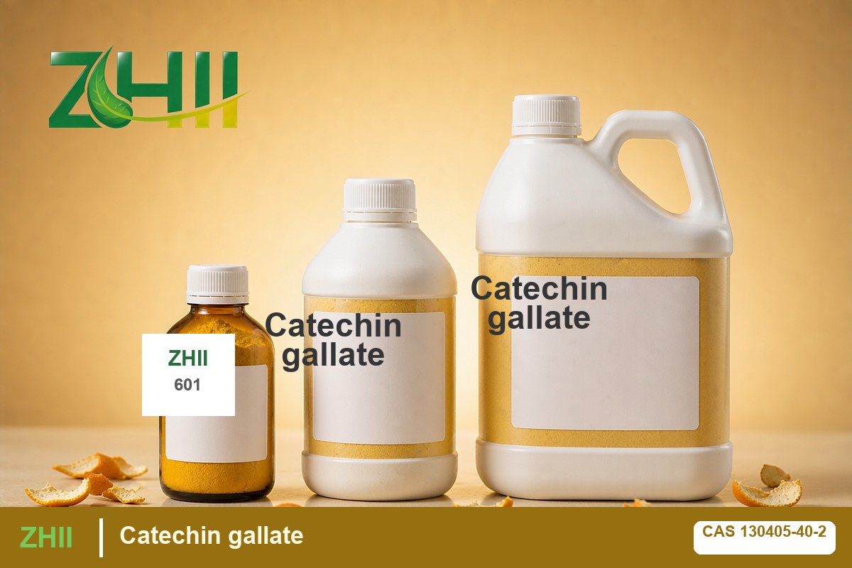 Catechin gallate - ZHII Plant Extract Manufacturer (CAS 130405-40-2)