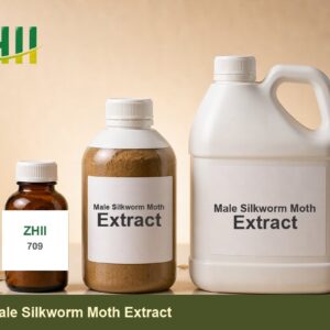 Male Silkworm Moth Extract - ZHII Plant Extract Manufacturer