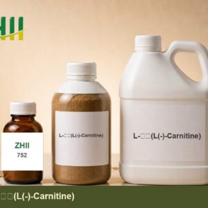 L-Carnitine - ZHII Plant Extract Manufacturer (CAS 541-15-1)
