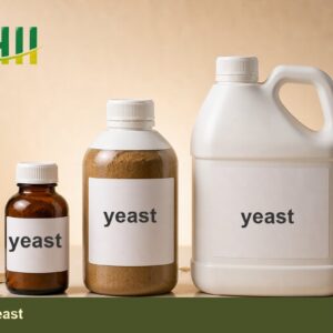 yeast - ZHII Plant Extract Manufacturer (CAS 8013-01-2)