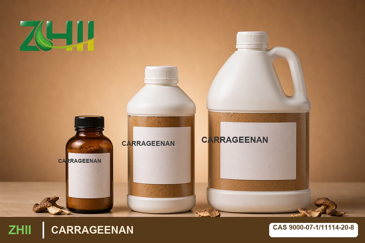 CARRAGEENAN - ZHII Plant Extract Manufacturer (CAS 9000-07-1/11114-20-8)