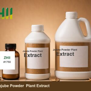 Jujube Powder Plant Extract - ZHII Plant Extract Manufacturer