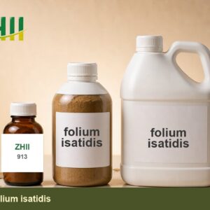 folium isatidis - ZHII Plant Extract Manufacturer
