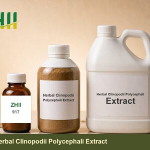 Herbal Clinopodii Polycephali Extract - ZHII Plant Extract Manufacturer