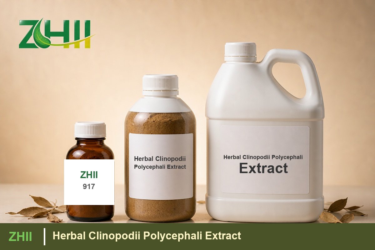 Herbal Clinopodii Polycephali Extract - ZHII Plant Extract Manufacturer