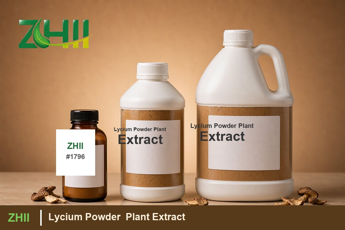Lycium Powder Plant Extract - ZHII Plant Extract Manufacturer
