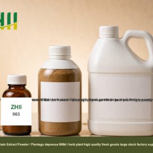 Plantain Extract Powder / Plantago depressa Willd / herb plant high quality fresh goods large stock factory supply - ZHI