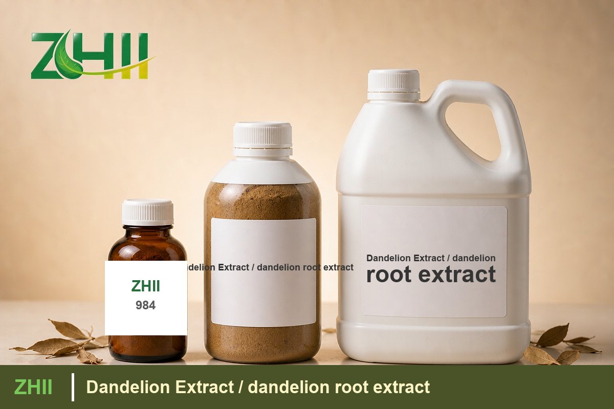 Dandelion Extract / dandelion root extract - ZHII Plant Extract Manufacturer