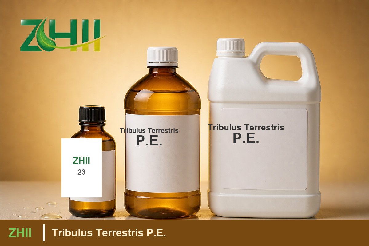 Tribulus Terrestris P.E - ZHII Plant Extract Manufacturer