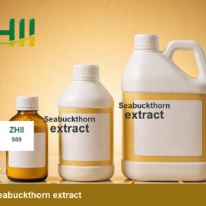 Seabuckthorn extract - ZHII Plant Extract Manufacturer