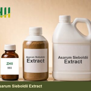 Asarum Sieboldii Extract - ZHII Plant Extract Manufacturer