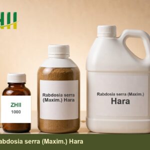 Rabdosia serra (Maxim.) Hara - ZHII Plant Extract Manufacturer