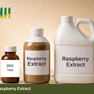 Raspberry Extract - ZHII Plant Extract Manufacturer