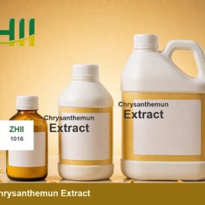 Chrysanthemun Extract - ZHII Plant Extract Manufacturer