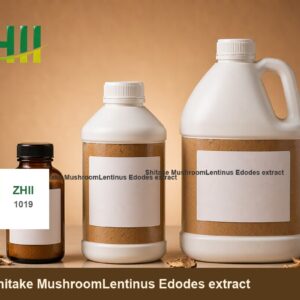 Shitake MushroomLentinus Edodes extract - ZHII Plant Extract Manufacturer
