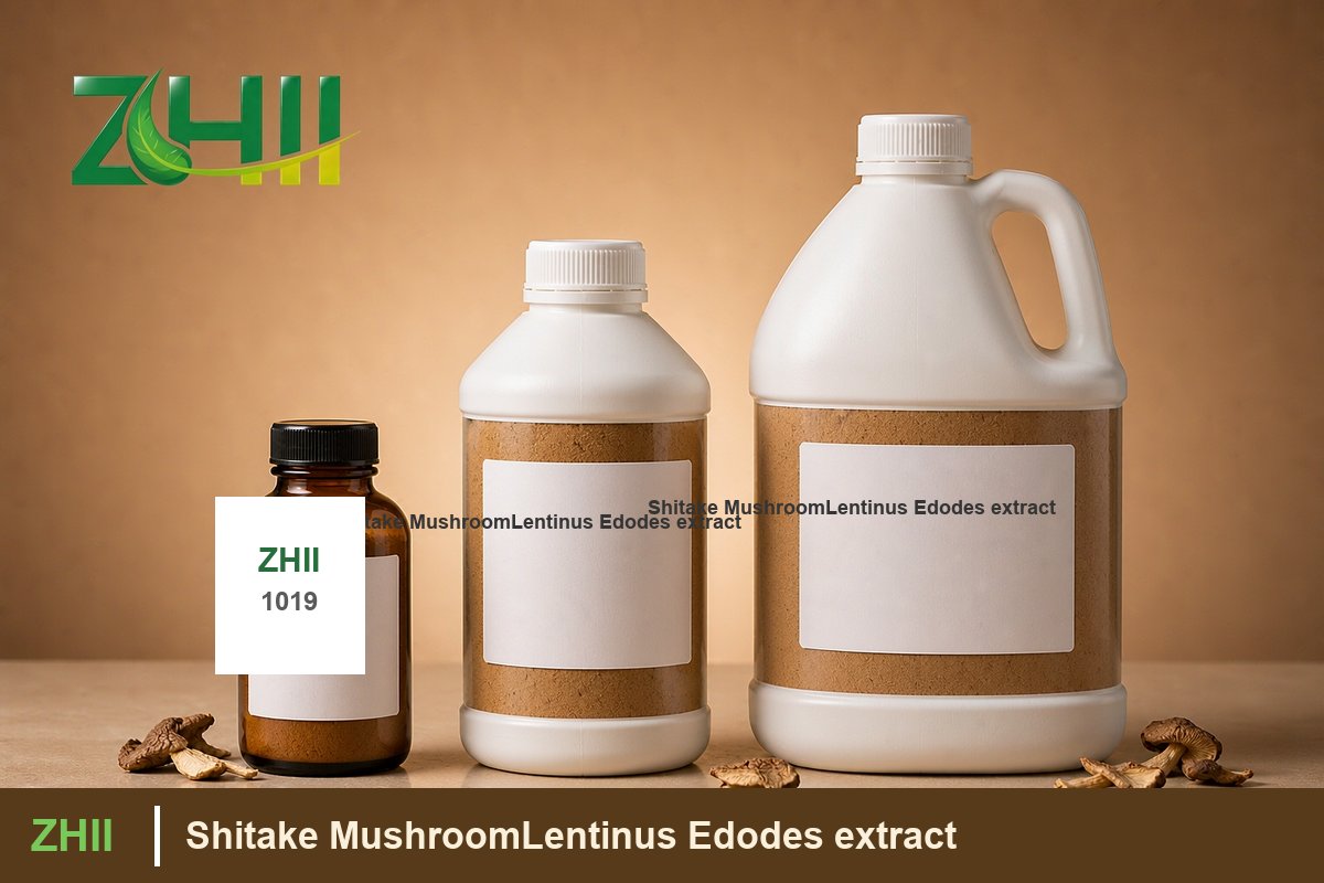 Shitake MushroomLentinus Edodes extract - ZHII Plant Extract Manufacturer