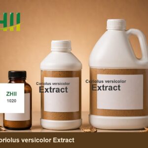 Coriolus versicolor Extract - ZHII Plant Extract Manufacturer
