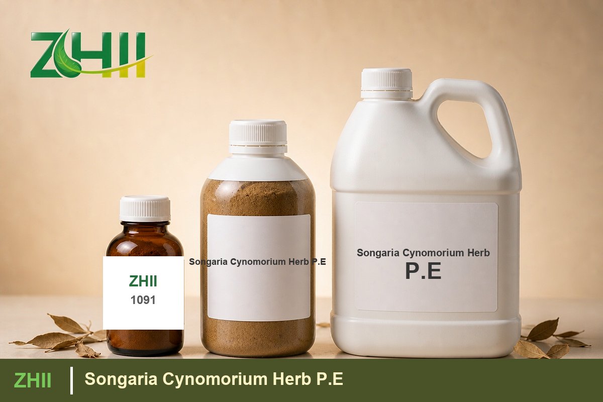 Songaria Cynomorium Herb P.E - ZHII Plant Extract Manufacturer