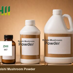 Reishi Mushroom Powder - ZHII Plant Extract Manufacturer