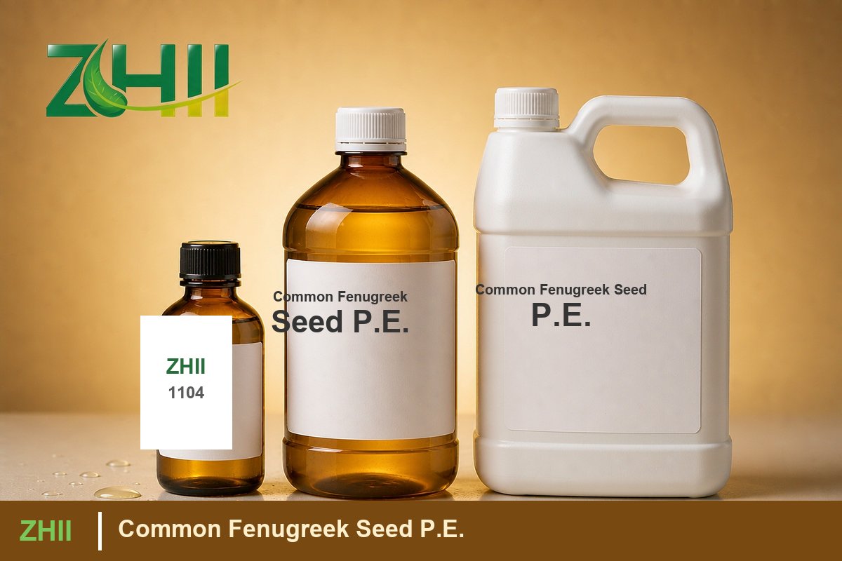 Common Fenugreek Seed P.E - ZHII Plant Extract Manufacturer