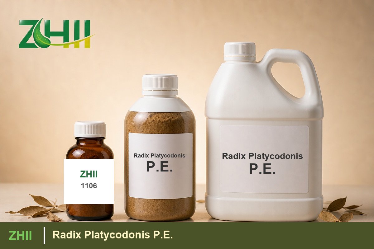 Radix Platycodonis P.E - ZHII Plant Extract Manufacturer