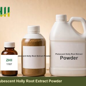 Pubescent Holly Root Extract Powder - ZHII Plant Extract Manufacturer
