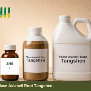 Fllase AsiabelI Root Tangshen - ZHII Plant Extract Manufacturer