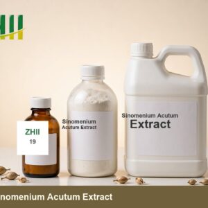 Sinomenium Acutum Extract - ZHII Plant Extract Manufacturer