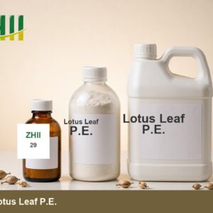 Lotus Leaf P.E - ZHII Plant Extract Manufacturer (CAS 475-83-2)