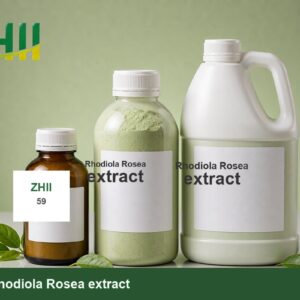 Rhodiola Rosea extract - ZHII Plant Extract Manufacturer