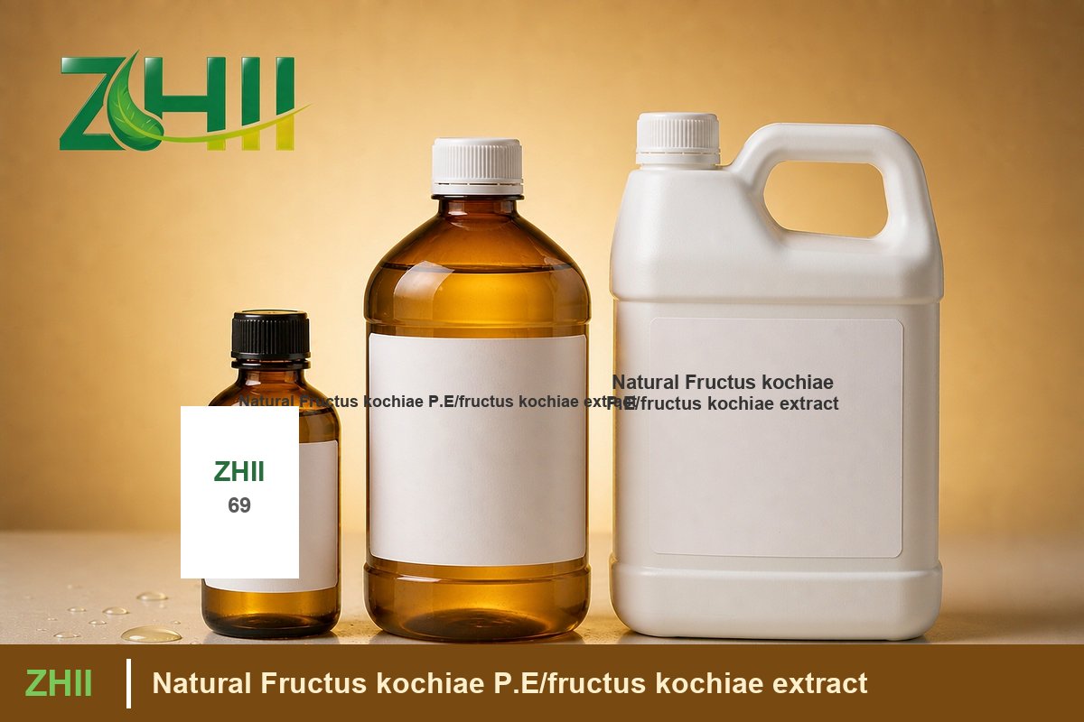 Natural Fructus kochiae P.E/fructus kochiae extract - ZHII Plant Extract Manufacturer