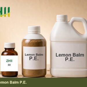 Lemon Balm P.E - ZHII Plant Extract Manufacturer