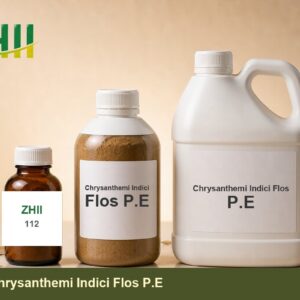 Chrysanthemi Indici Flos P.E - ZHII Plant Extract Manufacturer