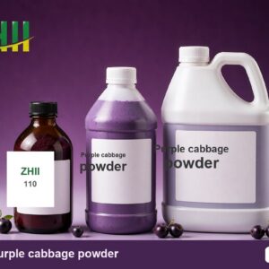Purple cabbage powder - ZHII Plant Extract Manufacturer (CAS 90045-23-1)