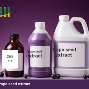 Grape seed extract - ZHII Plant Extract Manufacturer