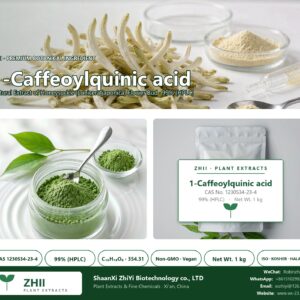 1-Caffeoylquinic acid CAS 1230534-23-4 natural plant extract from Honeysuckle - ZHII ShaanXi ZhiYi Biotechnology supplier