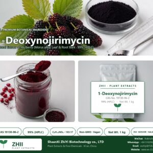 1-Deoxynojirimycin CAS 19130-96-2 natural plant extract from Mulberry - ZHII ShaanXi ZhiYi Biotechnology supplier
