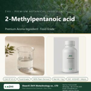 2-Methylpentanoic acid liquid extract in laboratory beaker - ZHII Plant Extracts by ShaanXi ZhiYi Biotechnology