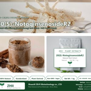 20(S)-NotoginsenosideR2 natural Asian Ginseng extract powder - ZHII ShaanXi ZhiYi Biotechnology supplier