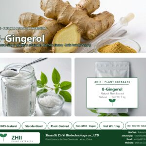8-Gingerol natural Ginger extract powder - ZHII ShaanXi ZhiYi Biotechnology supplier