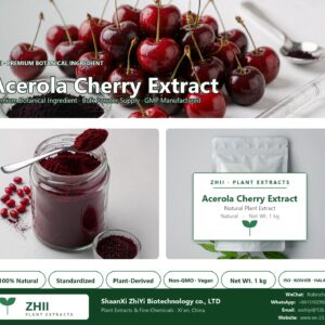 Acerola Cherry Extract natural botanical extract powder - ZHII ShaanXi ZhiYi Biotechnology supplier